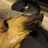 Troy Babcock - @troy.babcock2 - TikTok