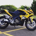 Mr. RoyBachlor - @roybachlor - Instagram