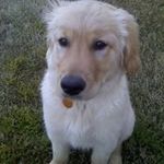 Roy Bacon - @rbacon1969 - Instagram