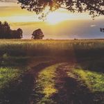 Roy Bacon - @901gebjz7sj5 - Instagram