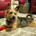 Roy Bacon - Facebook