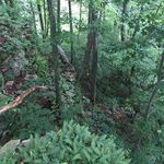 Roy Barroner - @roy_barroner - Instagram