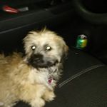 Roy Barrower - @roybarrower - Instagram