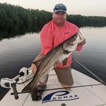 Roy Barry - @rwb77 - Instagram