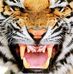 Roy Bartholomew - Facebook