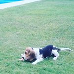 Juan Ruiz Suarez - @roybeagle_17 - Instagram