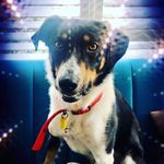 @roybeatty2019 - Instagram
