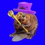 Your Beaver’s Highness - @theroyalbeaver - Instagram