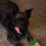 Roy Beebe - @cbtwo123 - Instagram