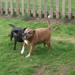 roy bentley - @bentley9979 - Instagram