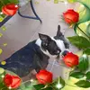 Roy Bentley - @roy.bentley4 - TikTok