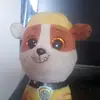 user798143230797 - @bentley.roy - TikTok