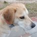 Roy Bergstrom - Facebook