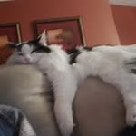 Roy Bidwell - @roy.bidwell - Instagram