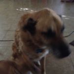 Roy Billings - @roy.billings - Instagram