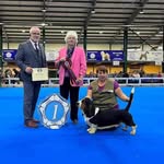 Roy Blevins Blevwil - @blevwilshowteam - Instagram