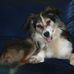Roy Blewitt - Facebook