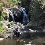 Roy Bodelier - @roybodelier - Instagram