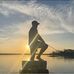 Roy Bower - Facebook