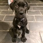 Roy Bowers - @roy.bowers1 - Instagram