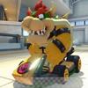 Roy 👎 = bowser 👍 - @bowser_is_better_thn_roy - TikTok