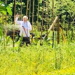 Roy Brookshire - @roy.brookshire - Instagram