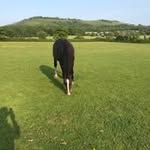 Roy Brown - @roybrown272 - Instagram