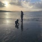 Roy Bruce - @roybruce4984 - Instagram