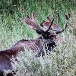Roy Bruce - @roy.bruce.3766 - Instagram