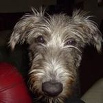 Bryan Roy - @roy.bryan - Instagram