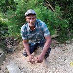 Roy Bryan - @roy.bryan.906 - Instagram