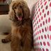 Roy Buxton - Facebook