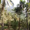 Chandan Roy - @canonroy - TikTok