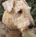 Carole Roy - Facebook