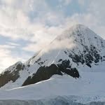 Roy Carlson - @roycarlson5409 - Instagram