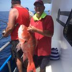 Roy Carnes - @roywcarnes - Instagram