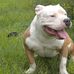 Roy Cason Jr. - Facebook