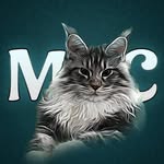 Ceylon royal tails cattery - @ceylon_royaltails_cattery - Instagram