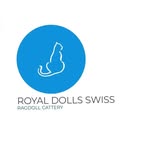 Ragdoll Cattery - @royaldollsswiss_cattery - Instagram