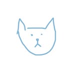 로이 - @roy_catt - Instagram