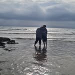 Roy Cattell Jnr - @roy_cattell - Instagram