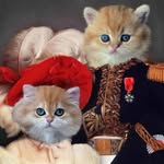 Royal British Cattery - @britishroyalcattery - Instagram