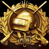 ROYAL_CHAMPION 👑 - @water_fire666 - TikTok