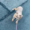 Roykeam Mcclary - @roykeam.mcclary - TikTok