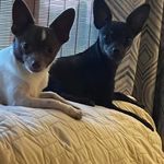 Roy Clevenger - @royclevenge - Instagram