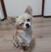 Roy Coenen - Facebook