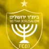 רוי כהן - @roycohn1t - TikTok