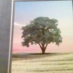 Roy Compton - @roy.compton.56 - Instagram