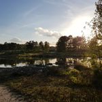 Roy Coonen - @roycoonen - Instagram