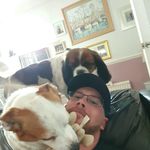 Roy Costello - @rocco19831 - Instagram